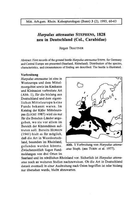 Harpalus attenuatus STEPHENS, 1828 - Koleopterologie.de