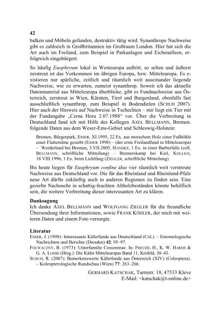 KATSCHAK Euophryum confine - Koleopterologie.de