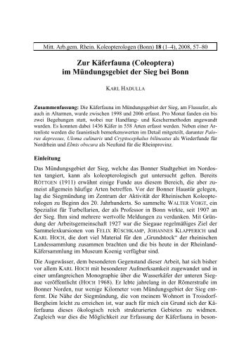 HADULLA Siegmündung-farbig - Koleopterologie.de
