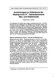 Anmerkungen zur Käferfauna der Rheinprovinz IV - Koleopterologie ...