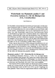 Wiederfunde von Phymatodes pusillus F. und Exocentrus lusitanus ...