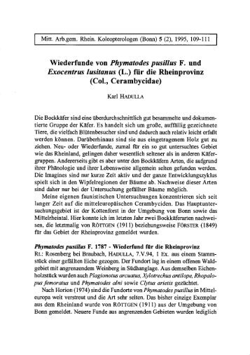 Wiederfunde von Phymatodes pusillus F. und Exocentrus lusitanus ...