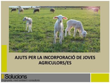 Incorporacio de joves agricultors - Solucions