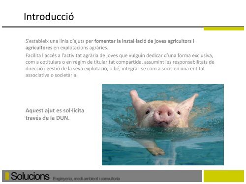 Incorporacio de joves agricultors - Solucions