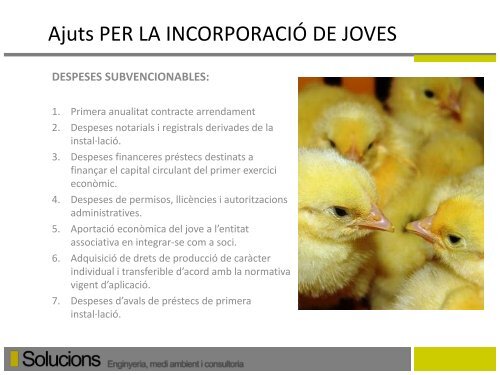 Incorporacio de joves agricultors - Solucions