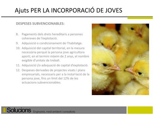 Incorporacio de joves agricultors - Solucions