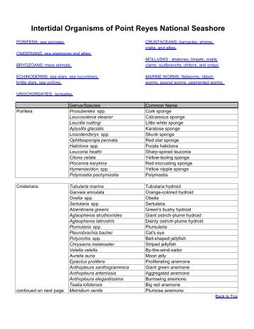 Intertidal Organisms of Point Reyes National Seashore