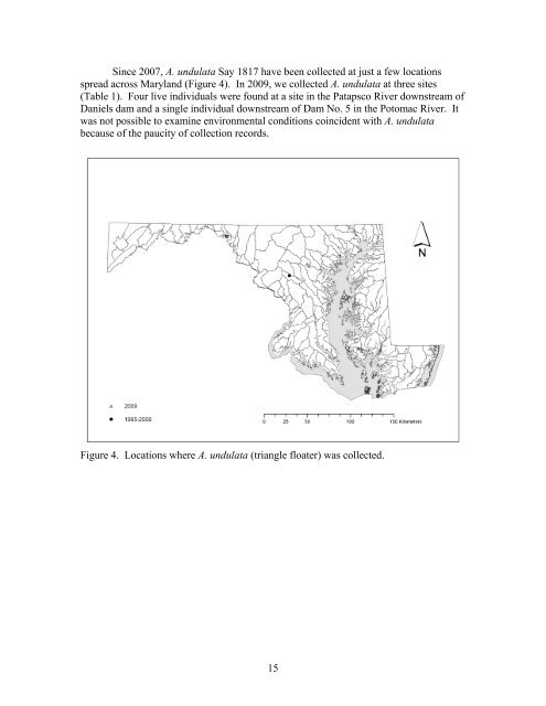 Freshwater mussel records collected by the Maryland Department of ...