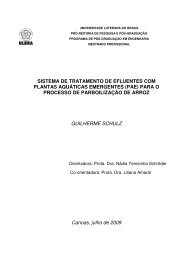 Tratamento de Efluentes com Plantas Aquáticas ... - Bioma Pampa