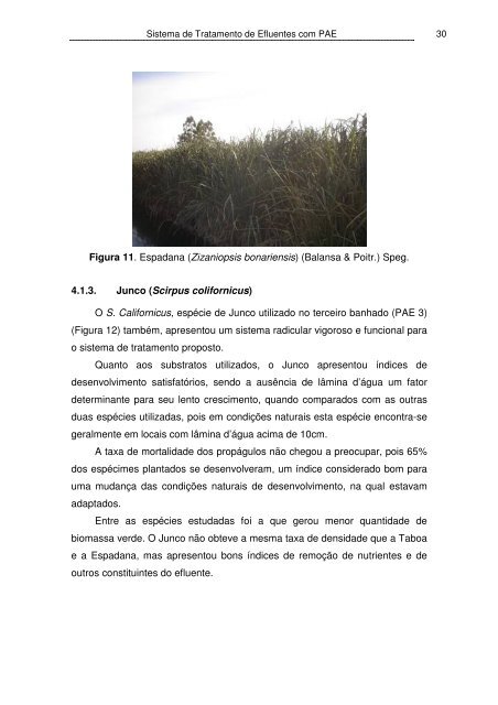 Tratamento de Efluentes com Plantas Aquáticas ... - Bioma Pampa