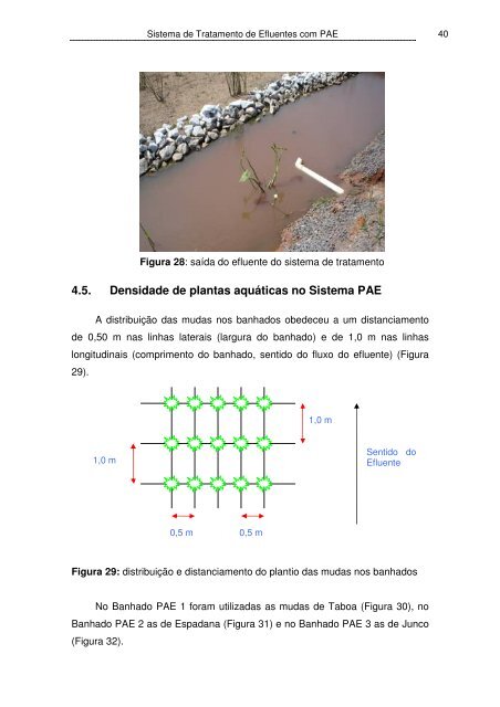 Tratamento de Efluentes com Plantas Aquáticas ... - Bioma Pampa