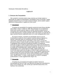 1 Introdução à Eletricidade Atmosférica Capítulo III 3. Estrutura das ...