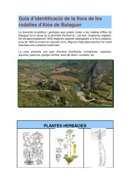 descàrrega en PDF - Consell Comarcal de la Noguera