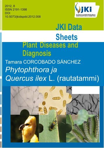 Phytophthora ja rautatammi - Metsäntutkimuslaitos