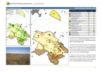 secans de mas de melons- alfés - Valors Naturals de les ZEPA dels ...