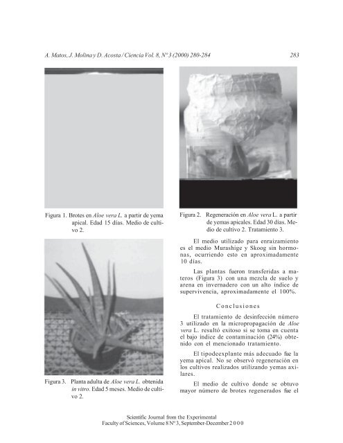 Establecimiento de una metodología eficiente para el cultivo in vitro ...