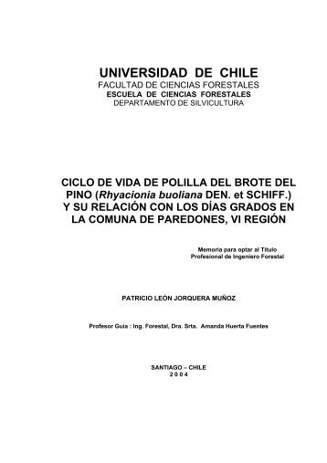 Tesis Electrónicas Universidad de Chile