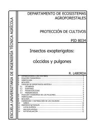 Insectos exopterigotos, cóccidos y pulgones - Crop protection