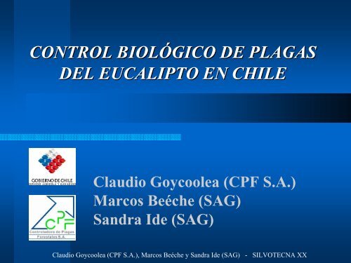 C Goycolea CB Eucalipto.pdf