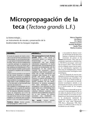 Micropropagación de la teca