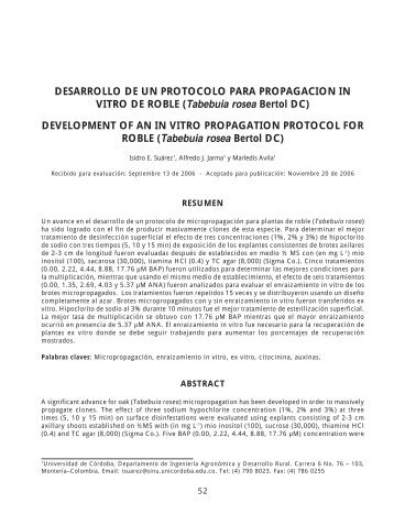 Desarrollo de un protocolo para propagacion in vitro de roble