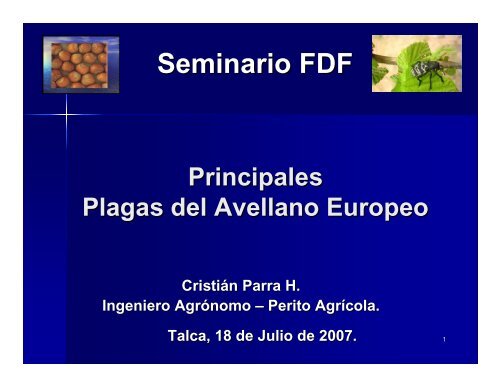 Plagas en avellano europeo