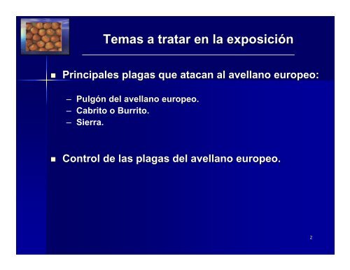 Plagas en avellano europeo