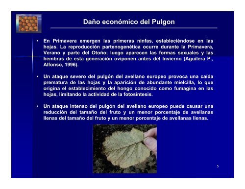 Plagas en avellano europeo