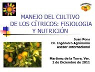 Manejo del Cultivo de los Cítricos Fisiología y Nutrición - Concitver