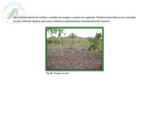 Projeto Horta de Produção Comunitária – PHPC - Banco da Amazônia