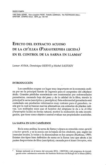 Efecto del extracto acuoso de la Ch'illka(Parastrephia lucida) en el ...