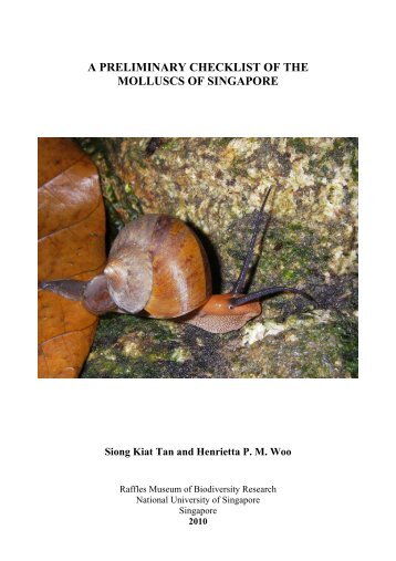 a preliminary checklist of the molluscs of singapore - Raffles ...