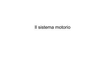 Lezione 21, 22, 23 motorio