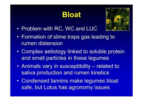 Nutritive value of forage legumes used for grazing and silage – R.J. ...