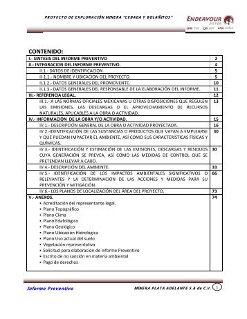 i.-- sintesis del informe preventivo - Semarnat