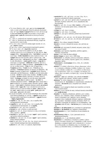 Dictionar Francez- Roman pentru traducatori - editura-academic.ro