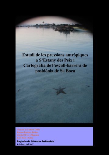 Estudi de les pressions antròpiques a S'Estany des Peix i ...