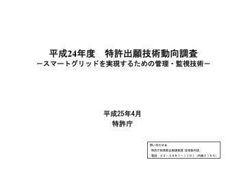 平 成 24 年 度 特 許 出 願 技 術 動 向 調 査