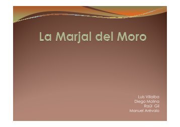 La Marjal del Moro [Sólo lectura]