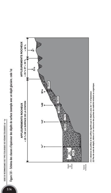 Guide de reconnaissance des types écologiques - Ministère des ...