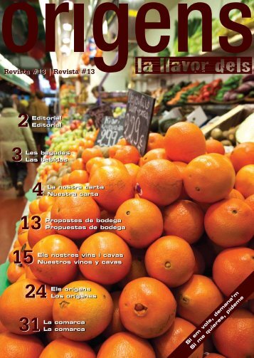 Revista #13 | Revista #13 - La Llavor dels Orígens