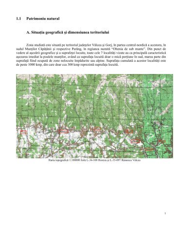 1.1 Patrimoniu natural A. Situaţia geografică şi dimensiunea ... - FPDL