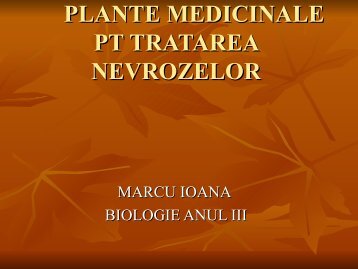 PLANTE MEDICINALE PT TRATAREA NEVROZELOR - Aid Vet