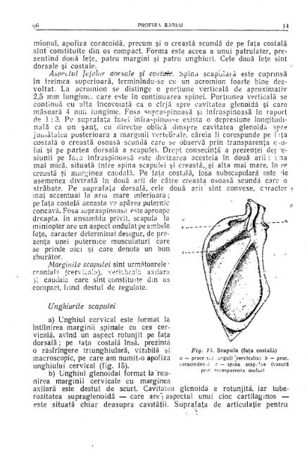 A"-t (. d-;*"rf at;' Ct Po"[," ,$^c^'"sf'