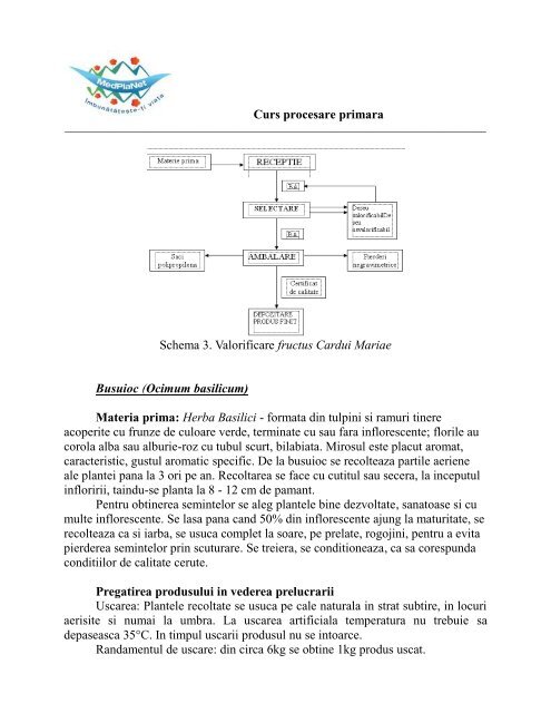 3.Curs procesare primara