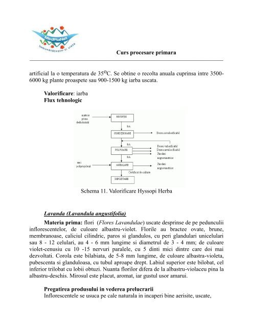 3.Curs procesare primara