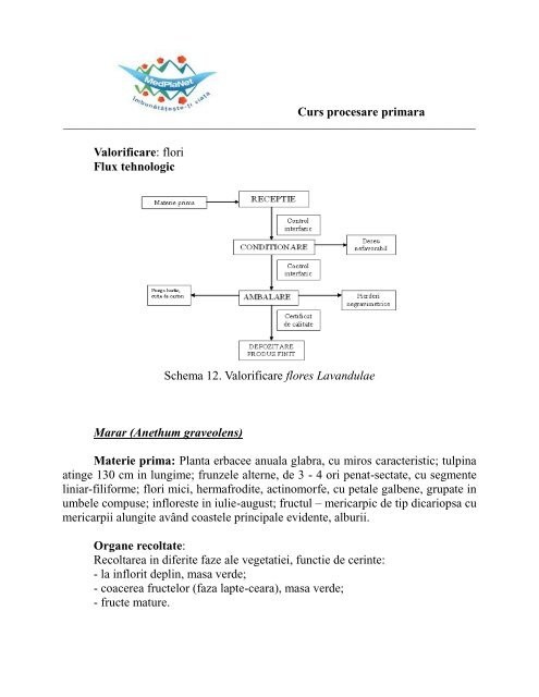 3.Curs procesare primara