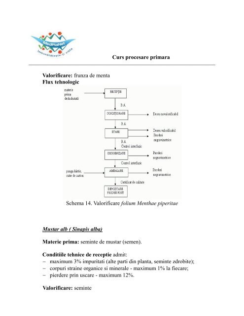 3.Curs procesare primara