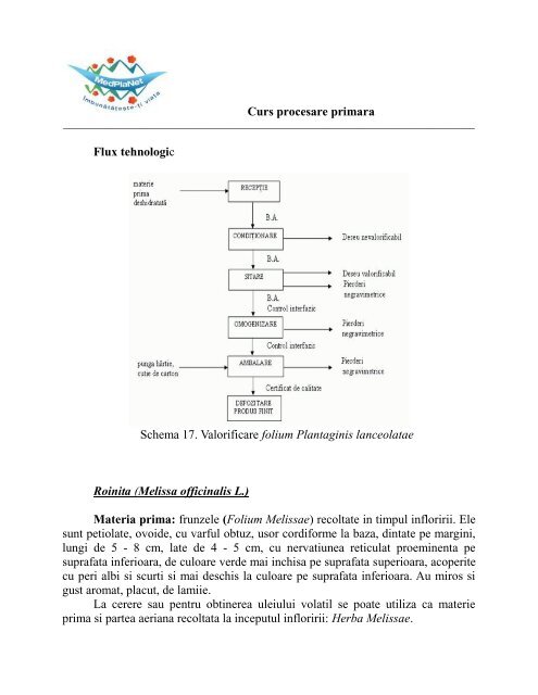 3.Curs procesare primara