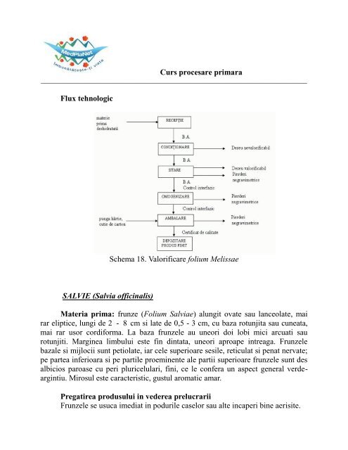 3.Curs procesare primara